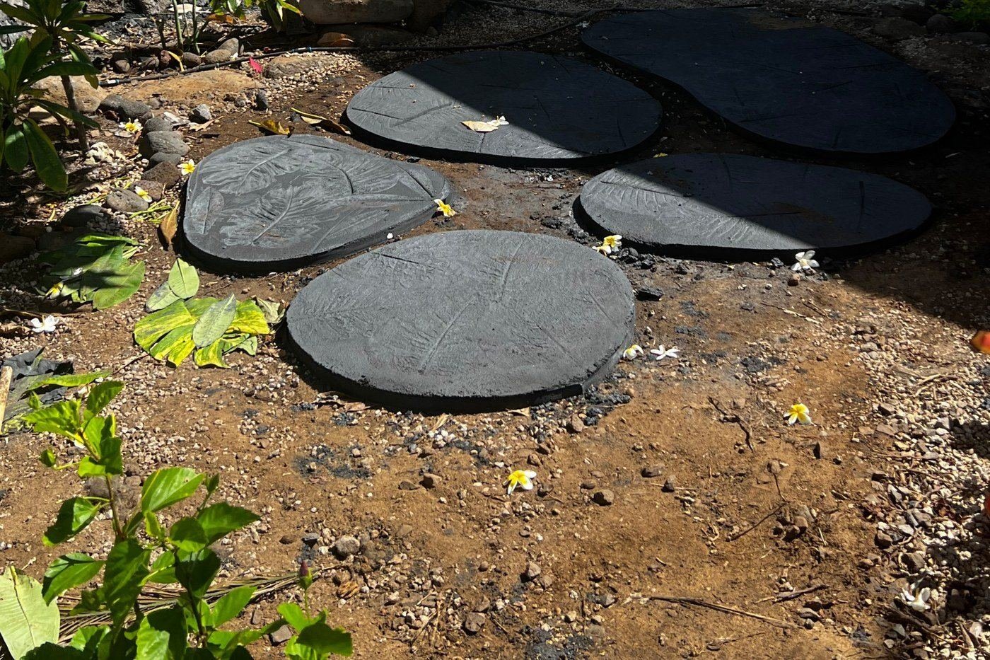 Round dark stepping stones being set into bare red dirt on a Maui property, with a flowering plumeria overhead and a lava rock wall and green turf behind.