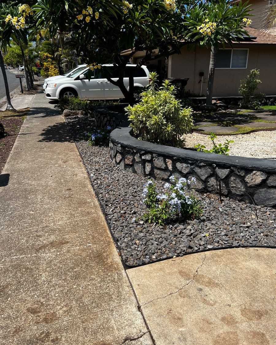 A concrete walkway edged by a low lava rock wall and a grey gravel bed, with flowering plumeria trees and low blue flowering plants alongside a Maui home.